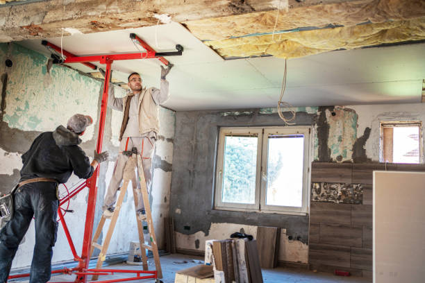 Insulation Inspection Services in Wailua, HI